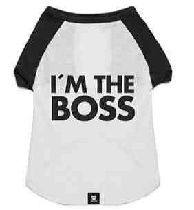 REMERA ZEEDOG L